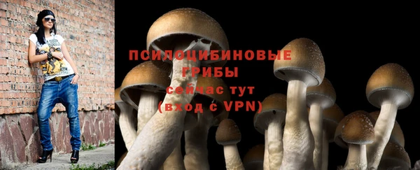 дурь Горняк